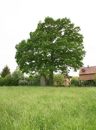 Kaim * Prichsenstadt