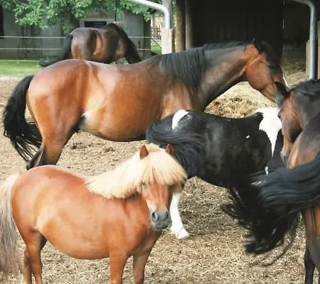 Kaim Lägenhet Prichsenstadt