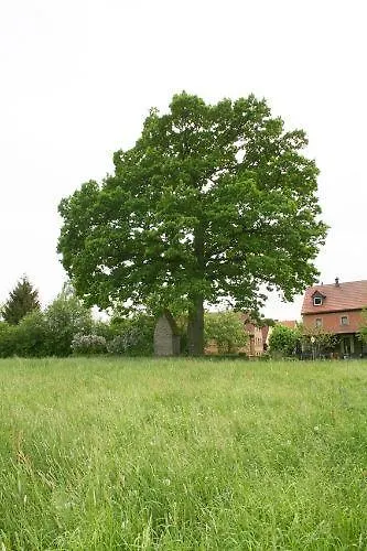 Kaim * Prichsenstadt